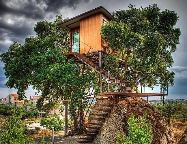 Encostas Do Côa Ter -hotel Hotel