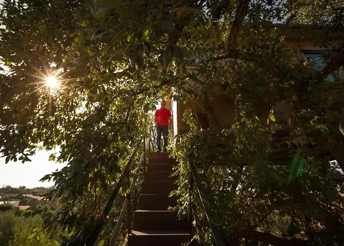 Hotel Encostas Do Côa Ter -hotel *